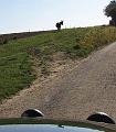 3de Follow the leader-Herfstrit- (39)